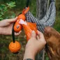 EXPLORER DOG AirBall kötélen Narancssárga 6,5 cm