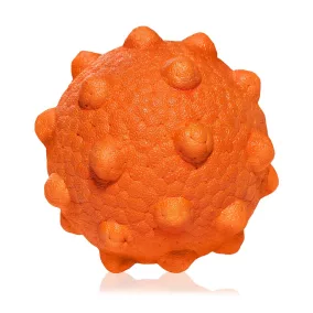 EXPLORER DOG AirBall Tips 8 cm