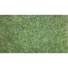   Műfű - NS-18 Természetes hatású professzionális műfű - Teljes tekercs