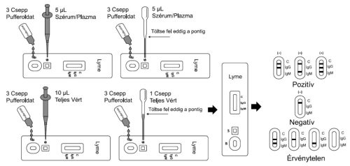 Lyme-kór IgG/IgM gyorsteszt - 1 db tesztkészlet (ujjbegyvérből), Elysium