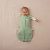 ERGOPOUCH Bebújós és alvózsák 2 az 1-ben Cocoon Willow 6-12 hónap, 8-10 kg, 2,5 tog