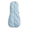 ERGOPOUCH Hálózsák organikus pamut Jersey Dragonflies 8-24 hó, 8-14 kg, 0,2 tog