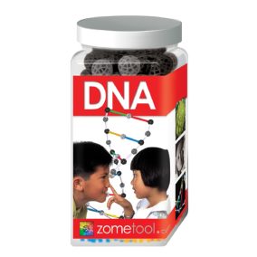 Djeco Tudományos modellező készlet - DNS molekula - DNA 