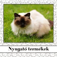 Nyugató termékek