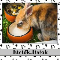 Etetők,Itatok