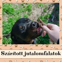 Szárított jutalomfalatok