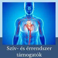 Szív- és érrendszer támogatók