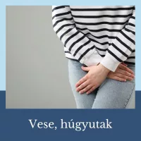 Vese, húgyutak