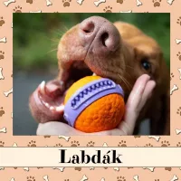 Labdák