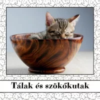Tálak és szökőkutak