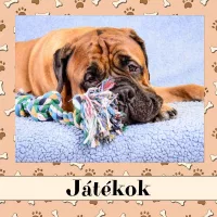 Játékok