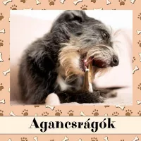 Agancsrágók