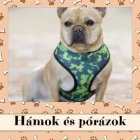 Hámok és pórázok