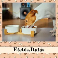 Etetés,Itatás