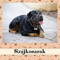 Szájkosarak