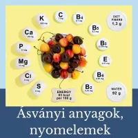 Ásványi anyagok, nyomelemek