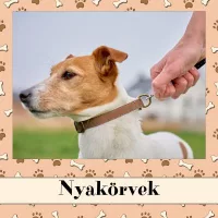 Nyakörvek