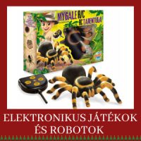 Elektronikus Játékok és Robotok