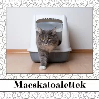 Macskatoalettek