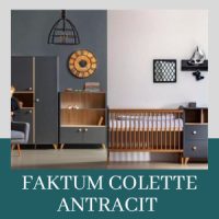 Faktum Colette Antracit