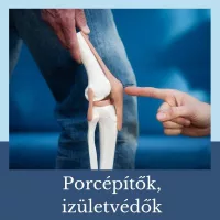 Porcépítők, izületvédők