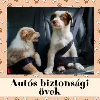 Autós biztonsági övek
