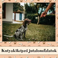 Kutyakiképző jutalomfalatok
