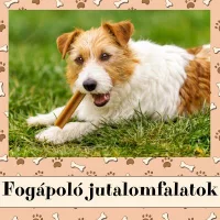 Fogápoló jutalomfalatok