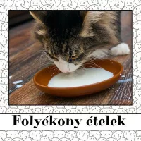 Folyékony ételek