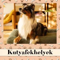 Kutyafekhelyek