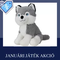 Januári játék akció