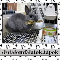 Jutalomfalatok,tápok