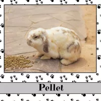 Pellet