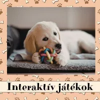 Interaktív játékok