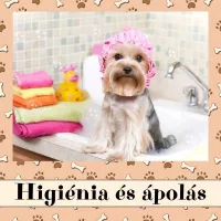 Higiénia és ápolás