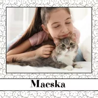 Macska
