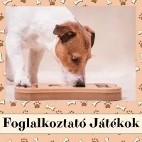 Foglalkoztató Játékok