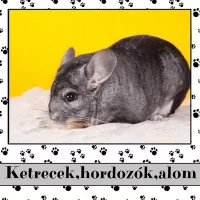 Ketrecek,hordozók,alom