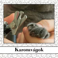 Karomvágok