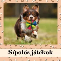 Sípolós játékok