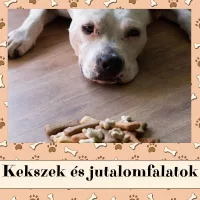 Kekszek és jutalomfalatok