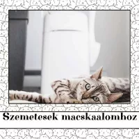 Szemetesek macskaalomhoz