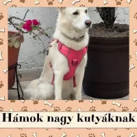 Hámok nagy kutyáknak