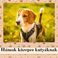 Hámok közepes kutyáknak