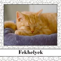 Fekhelyek