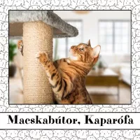 Macskabútor, Kaparófa