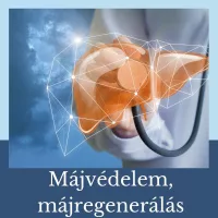 Májvédelem, májregenerálás