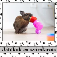 Játékok és szórakozás 