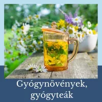 Gyógynövények, gyógyteák