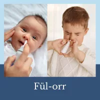 Fül-orr